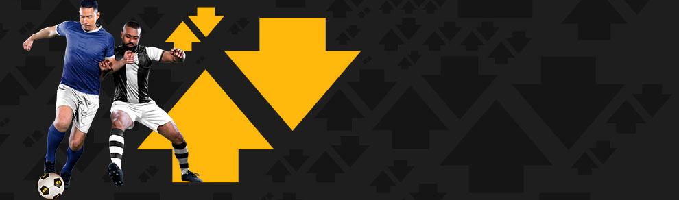 Banner image
